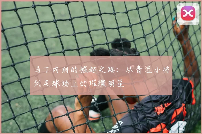马丁内利的崛起之路：从青涩小将到足球场上的璀璨明星